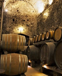 Tour Privato e Degustazione a Montepulciano (Zona del Vino Nobile)