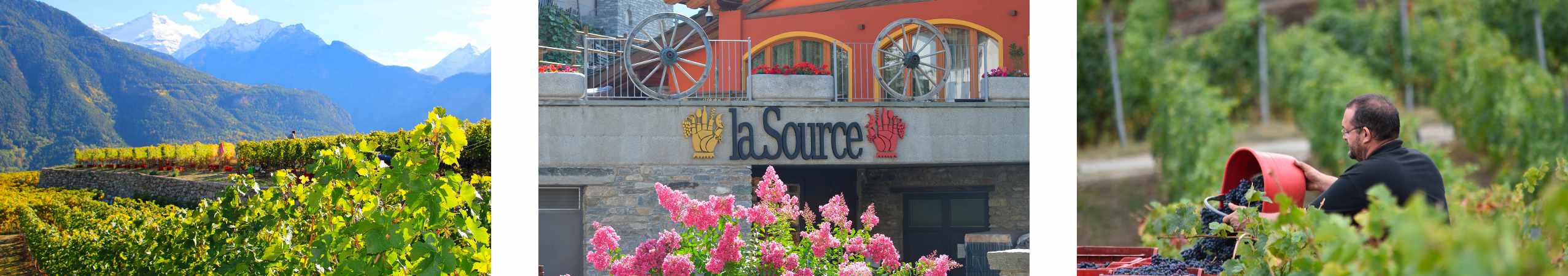 LA SOURCE - Saint-Pierre (AO) banner image